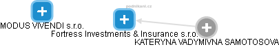 Fortress Investments & Insurance s.r.o. - obrázek vizuálního zobrazení vztahů obchodního rejstříku