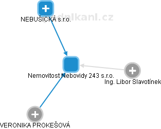 Nemovitost Nebovidy 243 s.r.o. - obrázek vizuálního zobrazení vztahů obchodního rejstříku