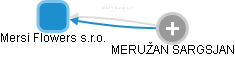 Mersi Flowers s.r.o. - obrázek vizuálního zobrazení vztahů obchodního rejstříku