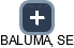BALUMA, SE - obrázek vizuálního zobrazení vztahů obchodního rejstříku