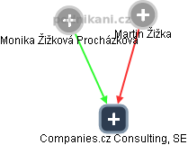 Companies.cz Consulting, SE - obrázek vizuálního zobrazení vztahů obchodního rejstříku