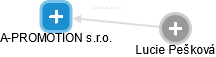 A-PROMOTION s.r.o. - obrázek vizuálního zobrazení vztahů obchodního rejstříku