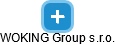 WOKING Group s.r.o. - obrázek vizuálního zobrazení vztahů obchodního rejstříku