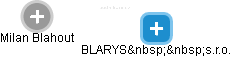 BLARYS  s.r.o. - obrázek vizuálního zobrazení vztahů obchodního rejstříku