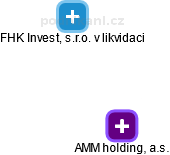 AMM holding, a.s. - obrázek vizuálního zobrazení vztahů obchodního rejstříku