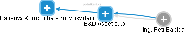 B&D Asset s.r.o. - obrázek vizuálního zobrazení vztahů obchodního rejstříku