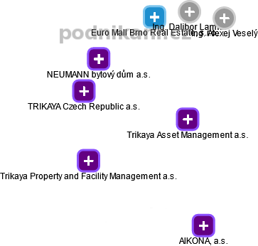 Trikaya Asset Management a.s. - obrázek vizuálního zobrazení vztahů obchodního rejstříku