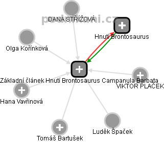 Základní článek Hnutí Brontosaurus Campanula Barbata - obrázek vizuálního zobrazení vztahů obchodního rejstříku